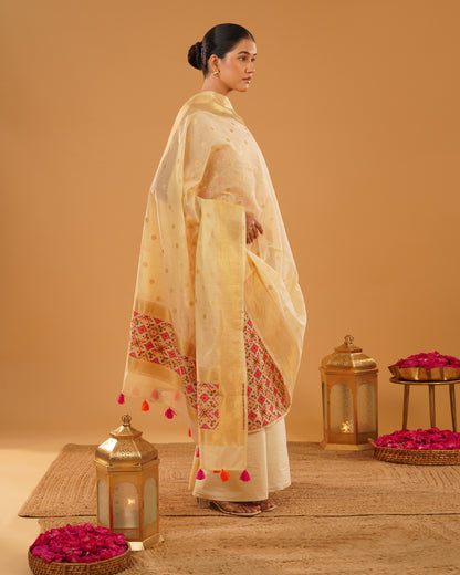 Zarbano – Banarasi Pure Cotton Suit Set in Cream Gold with Patola Weave